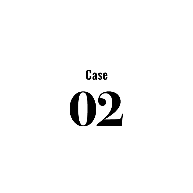 Case 02